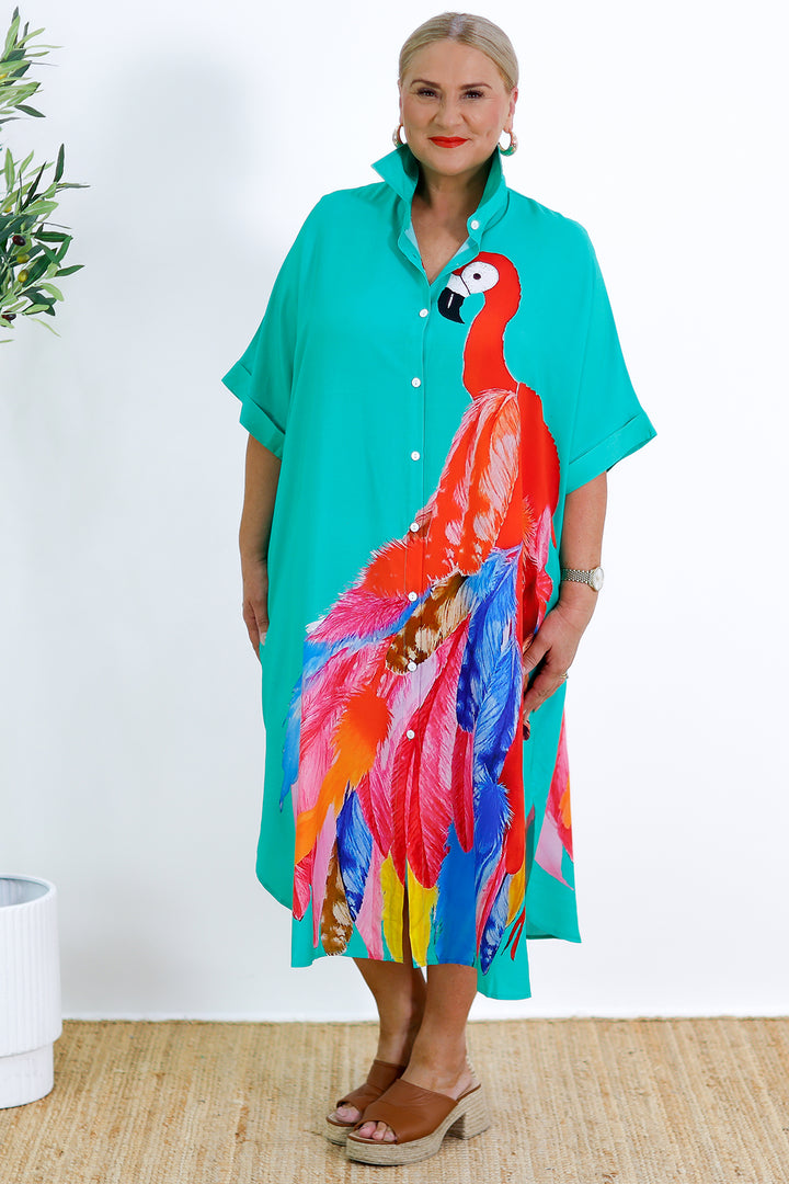 Sanctuary Shirt Dress | GREEN