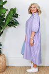 Sterling Shirt Dress | Blue Stripe